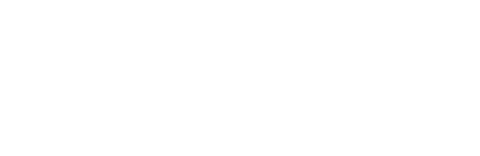 mallplus品牌logo
